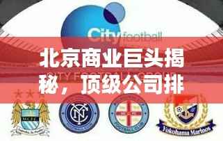 北京商业巨头揭秘,顶级公司排名及财富概览