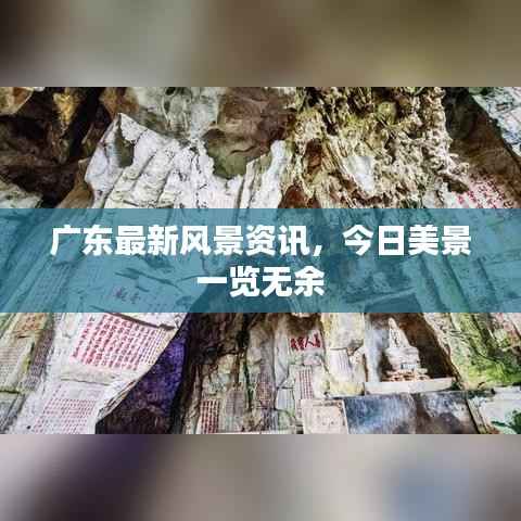 广东最新风景资讯,今日美景一览无余