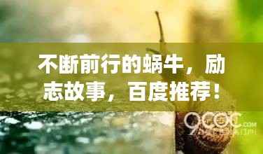 不断前行的蜗牛,励志故事,百度推荐!