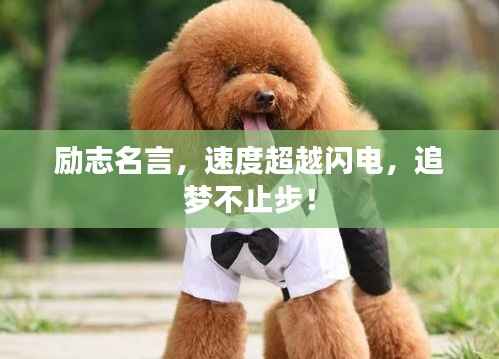 励志名言,速度超越闪电,追梦不止步!