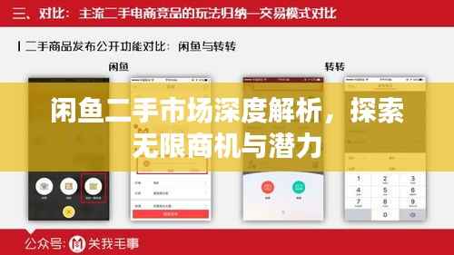 闲鱼二手市场深度解析,探索无限商机与潜力