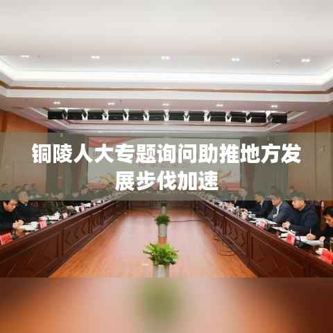 铜陵人大专题询问助推地方发展步伐加速