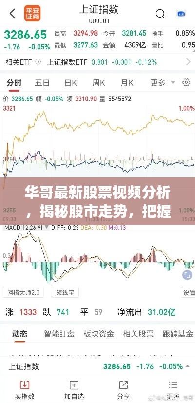 华哥最新股票视频分析,揭秘股市走势,把握投资机会!