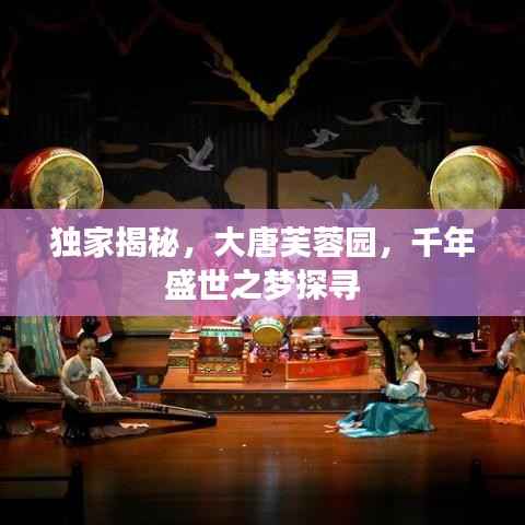 独家揭秘,大唐芙蓉园,千年盛世之梦探寻