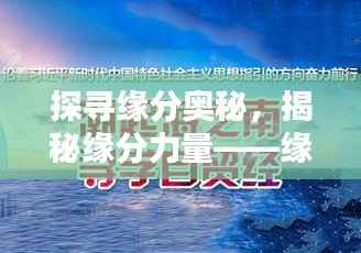 探寻缘分奥秘,揭秘缘分力量——缘分专题探索