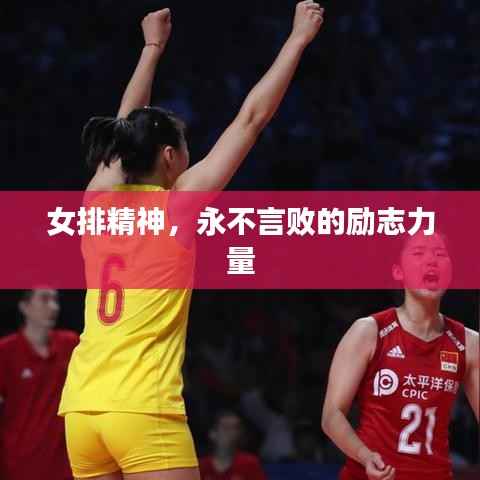 女排精神,永不言败的励志力量