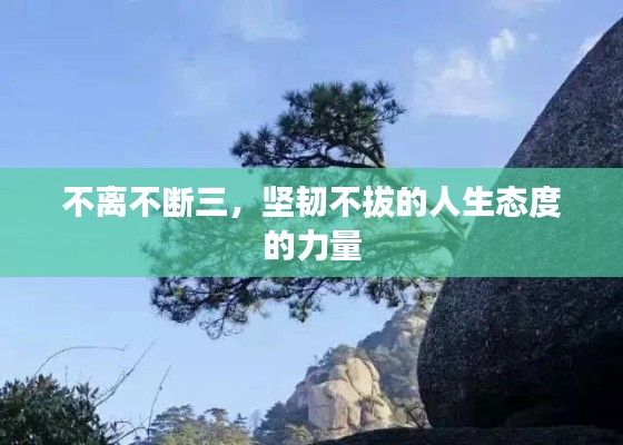 不离不断三,坚韧不拔的人生态度的力量
